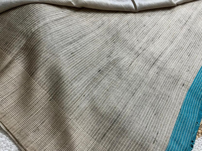 Sky Blue Saree with Beige Embroidery
